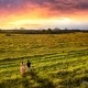 Scenic Rim Wedding Beauty with Celebrant Brisbane